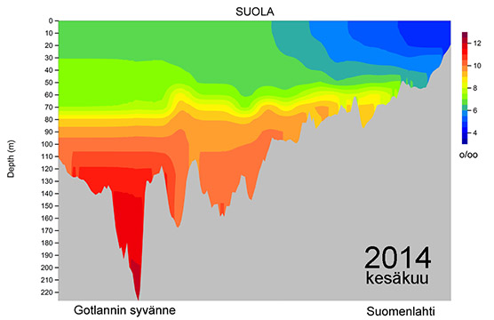 suolaprof-Gotl-Slahti-alkukesä-2014-WEB_556.jpg